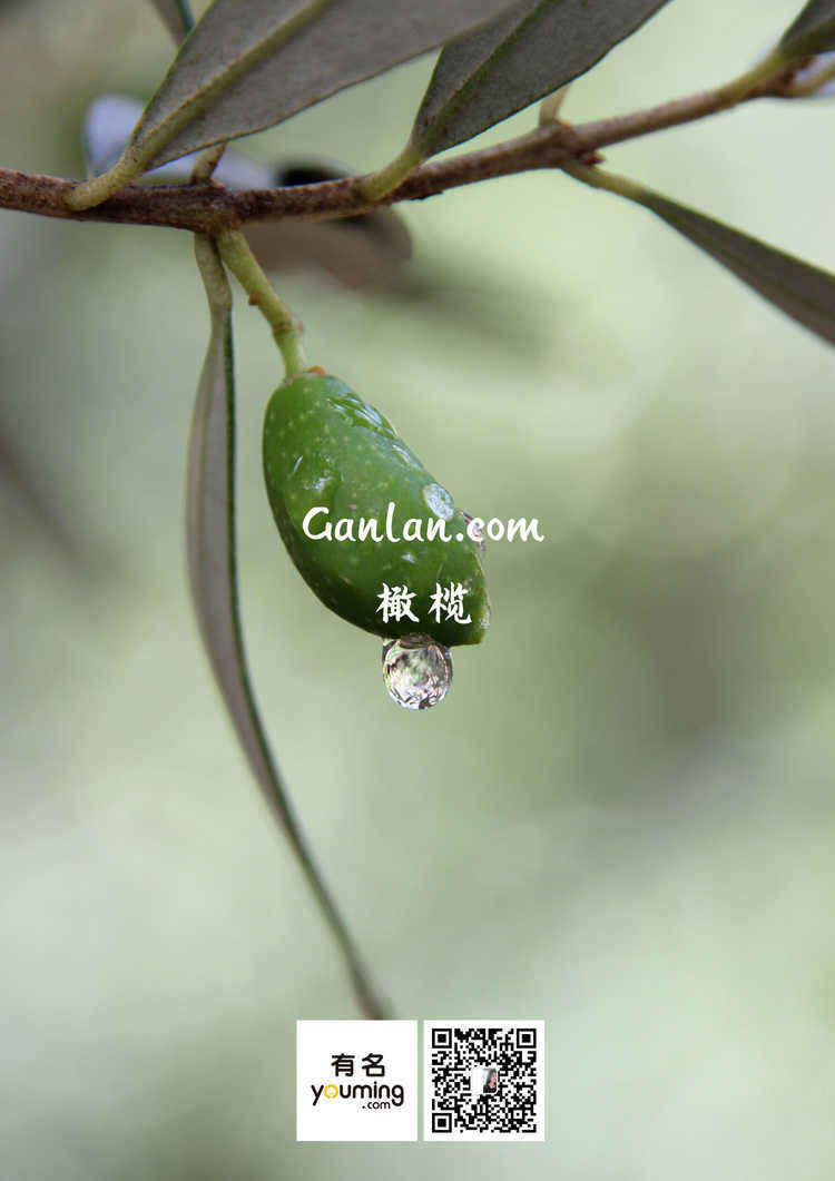 应用赏析 应用赏析